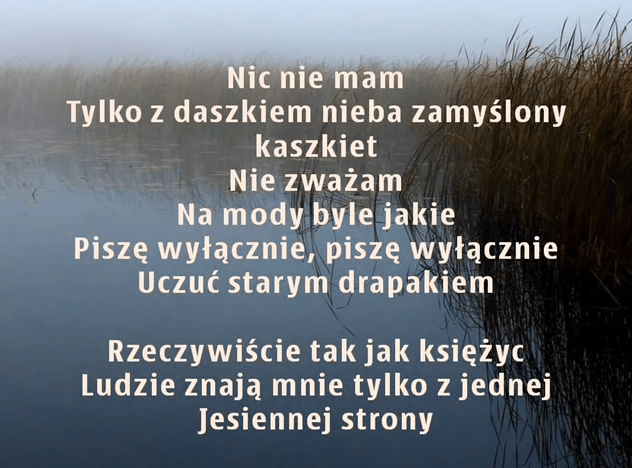 Jesienna zaduma - Pani Jesień Chusty bawełna/akryl, Jesienna zaduma 20 Jesienna zaduma - Pani Jesień Chusty bawełna/akryl, Jesienna zaduma 17 - Szydełko Pani Myszy