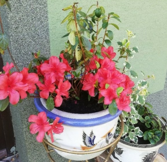 Kwiaty lata zaklęte w komin - Na styku dwóch pasji Kominy akryl, Pasja, Żyj kolorowo 5 Kwiaty lata zaklęte w komin - Na styku dwóch pasji Kominy akryl, Pasja, Żyj kolorowo 5 - Szydełko Pani Myszy