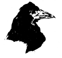Chusta bawełniana - CAL NEVERMORE Chusty bawełna/akryl, Żyj kolorowo 5 Chusta bawełniana - CAL NEVERMORE Chusty bawełna/akryl, Żyj kolorowo 5 - Szydełko Pani Myszy