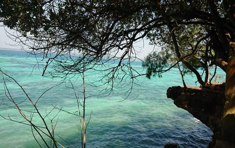 Torba plażowa - słońce i morska toń Torebki, siatki i sakiewki bawełna, dostępne, Sznurkowe dziergadła, Żyj kolorowo 3 Torba plażowa - słońce i morska toń Torebki, siatki i sakiewki bawełna, dostępne, Sznurkowe dziergadła, Żyj kolorowo 3 - Szydełko Pani Myszy
