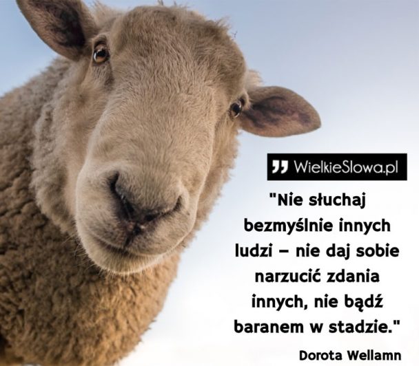 Z przymrużeniem oka... Wokół szydełka Pasja 11 Z przymrużeniem oka... Wokół szydełka Pasja 10 - Szydełko Pani Myszy
