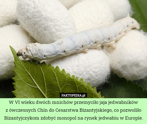 Oznaczenia i rodzaje tkanin Wokół szydełka Pasja 8 Oznaczenia i rodzaje tkanin Wokół szydełka Pasja 8 - Szydełko Pani Myszy