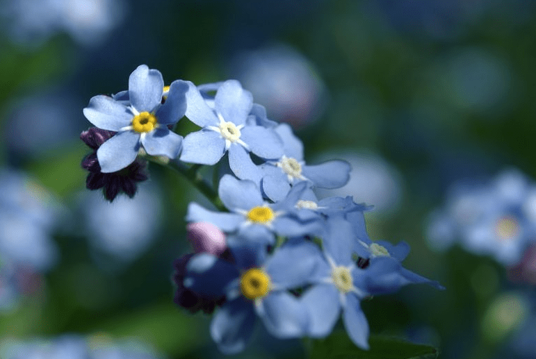 Top ażurowy w kolorze nieba Bluzki dostępne, mikrofibra, Niebieskie migdały 4 Top ażurowy w kolorze nieba Bluzki dostępne, mikrofibra, Niebieskie migdały 4 - Szydełko Pani Myszy