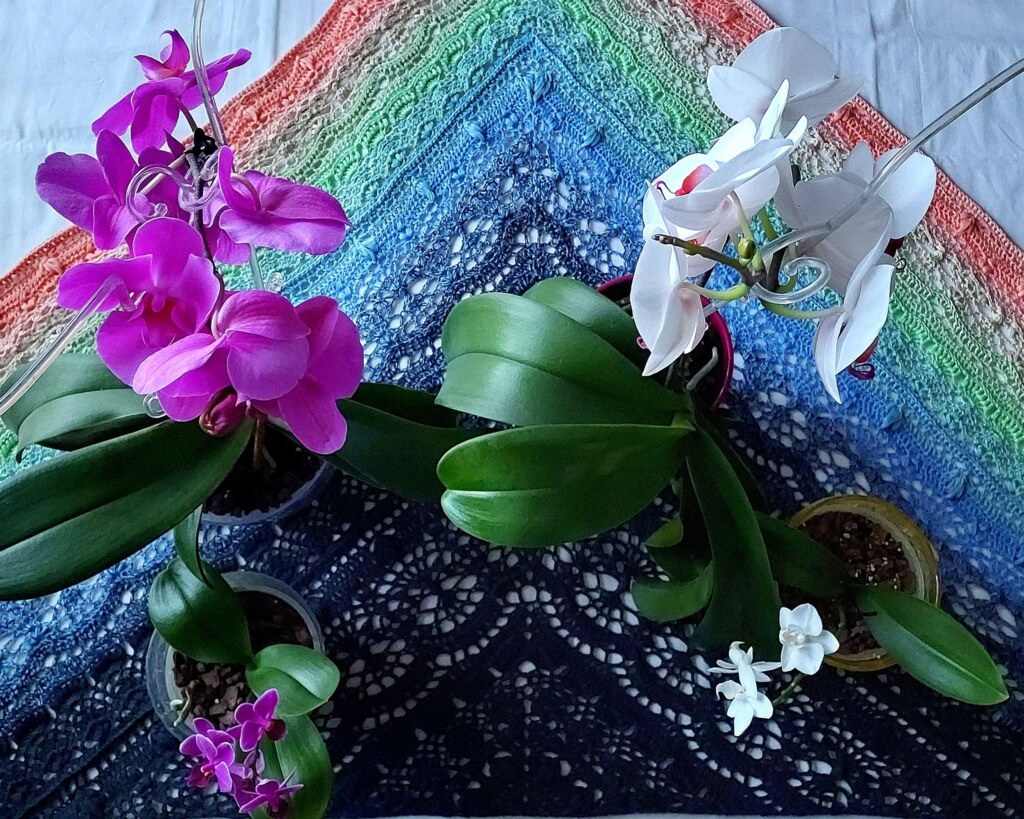 Pełna uroku "Dzika orchidea" Chusty bawełna/akryl, Żyj kolorowo 7 Pełna uroku "Dzika orchidea" Chusty bawełna/akryl, Żyj kolorowo 7 - Szydełko Pani Myszy