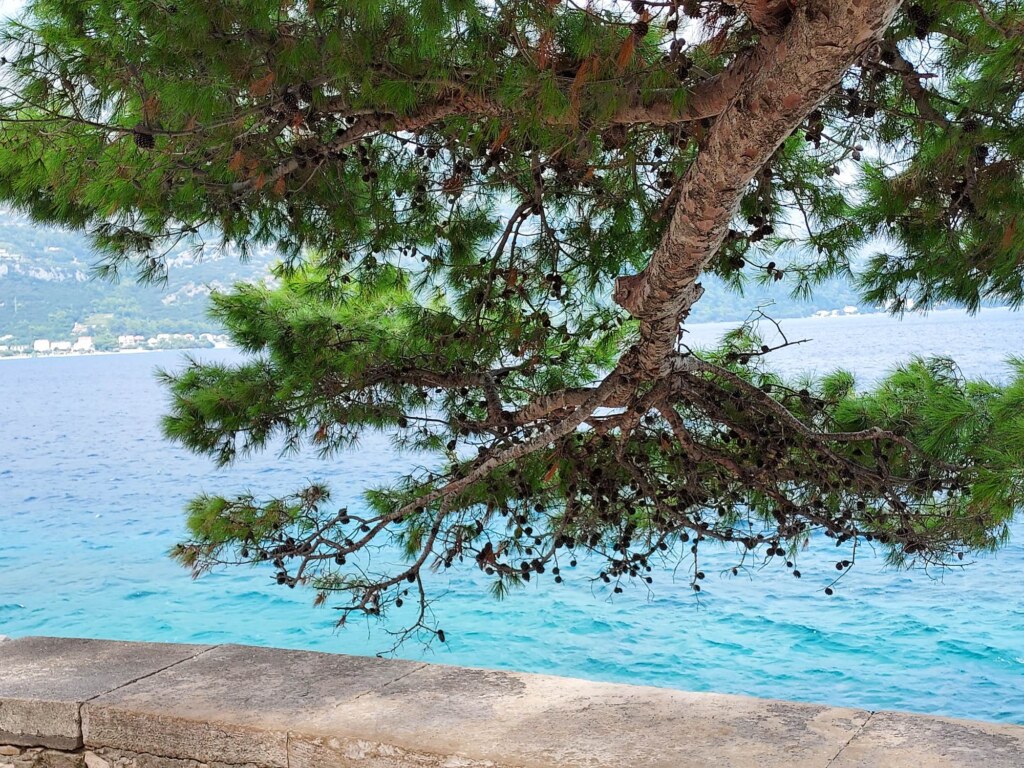 Ponczello - kolory lata Poncza bawełna/akryl, dostępne, Niebieskie migdały, Zielono mi 15 Ponczello - kolory lata Poncza bawełna/akryl, dostępne, Niebieskie migdały, Zielono mi 9 - Szydełko Pani Myszy